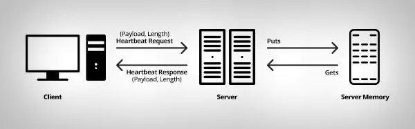 HeartBleed-HB1