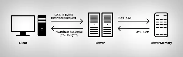 HeartBleed-HB2