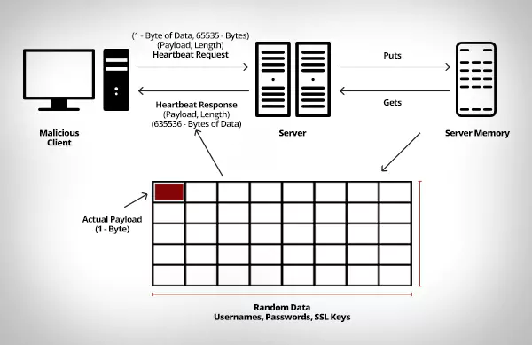 HeartBleed-HB3